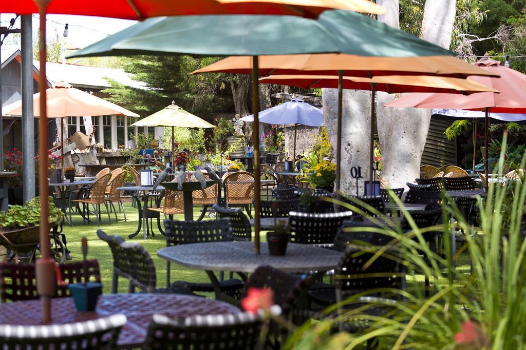 Oakdene Vineyards Guesthouse Wallington Екстер'єр фото